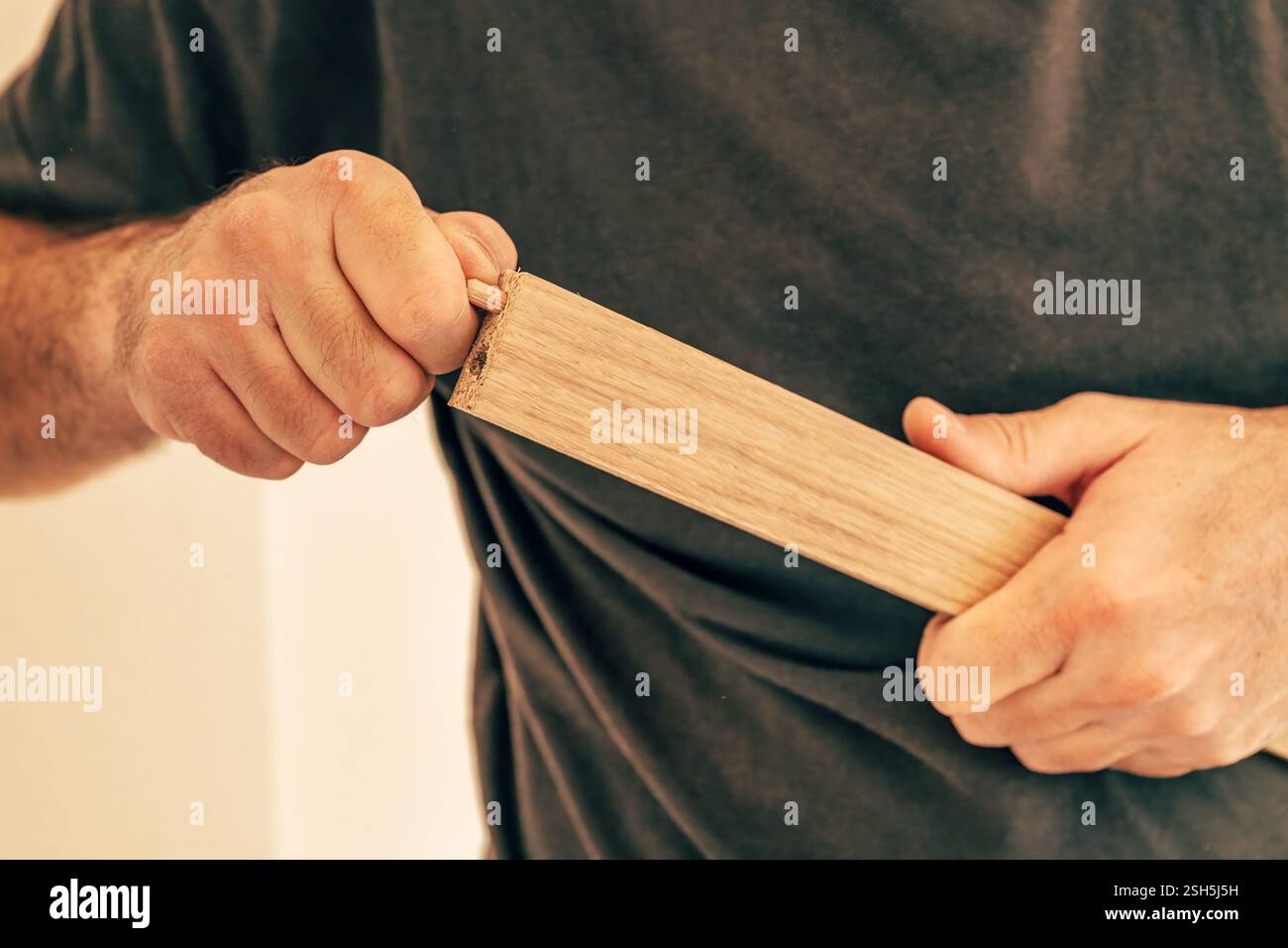 Using wooden dowels while assembling furniture at DIY home project, selective focus Stock Photo