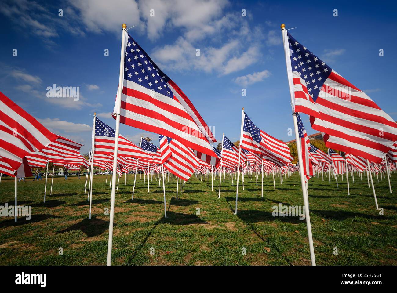 Temporary Flag System WASHINGTON DC, United States — Rows of American flags create a ...