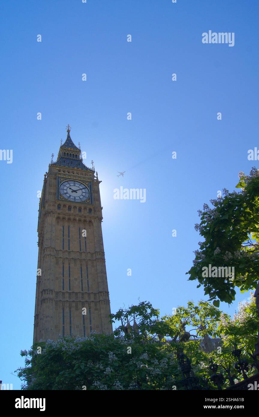 Pure Sunset Stock Photo