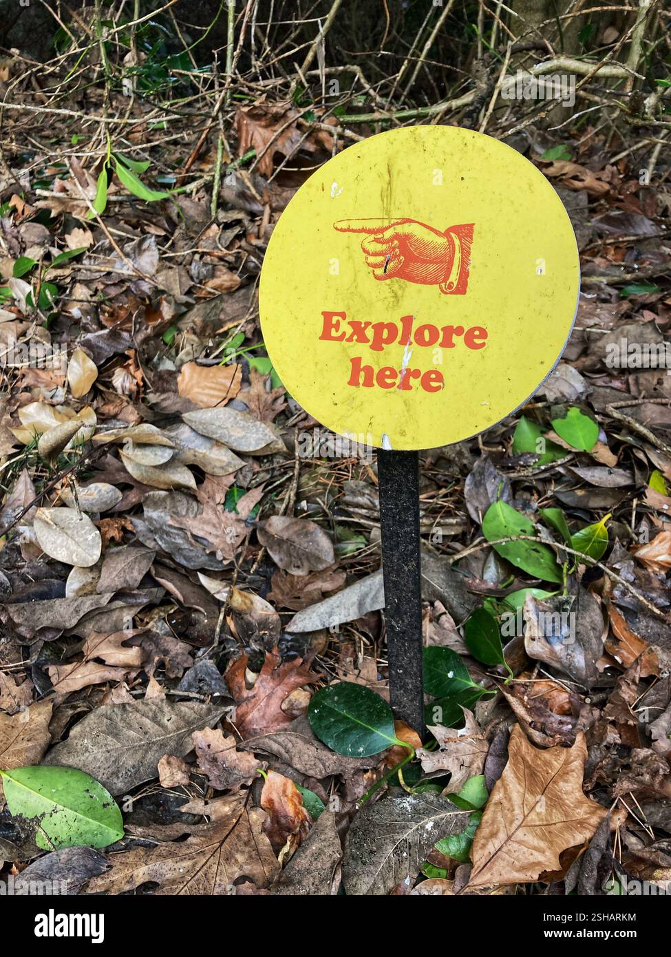 Wooded trail direction sign - Smartphone Captured Stock Image Wooded trail direction sign - Smartphone Captured Stock Image