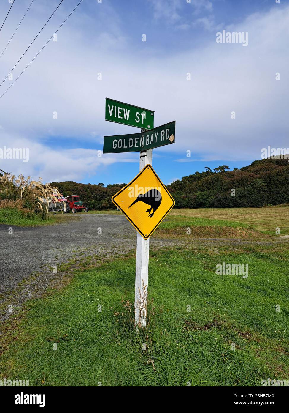 Kiwi Crossing Sign - Smartphone Captured Stock Image