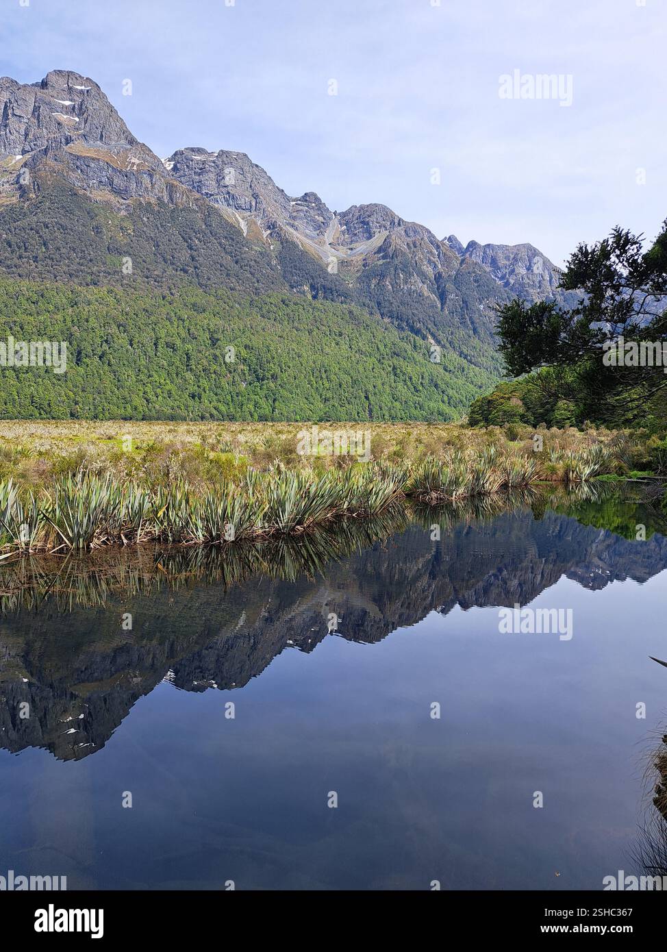 Mirror Lake - Smartphone Captured Stock Image