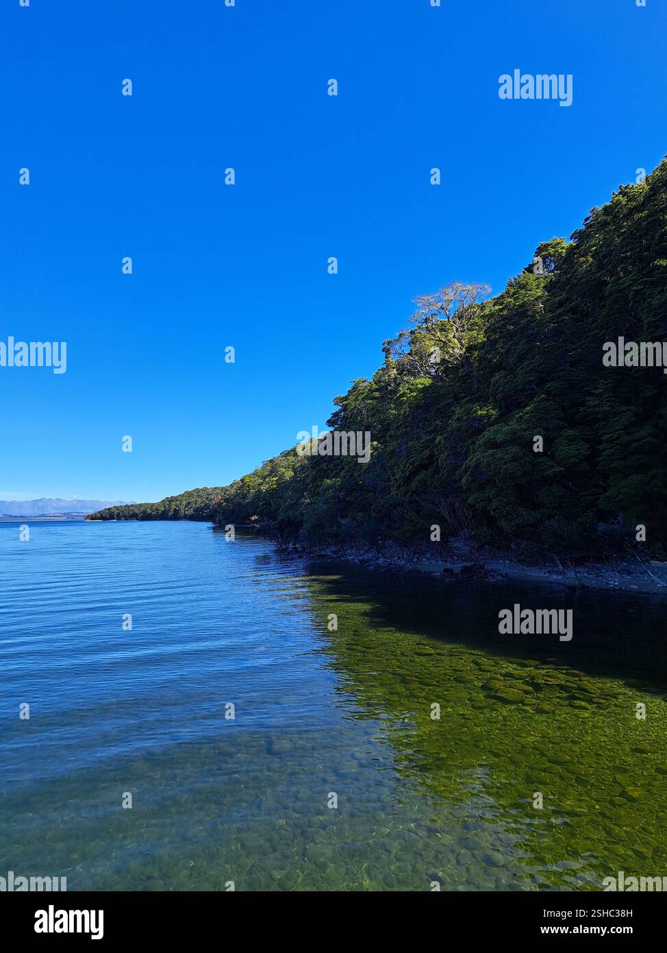 Lake Te Anau on a sunny day - Smartphone Captured Stock Image