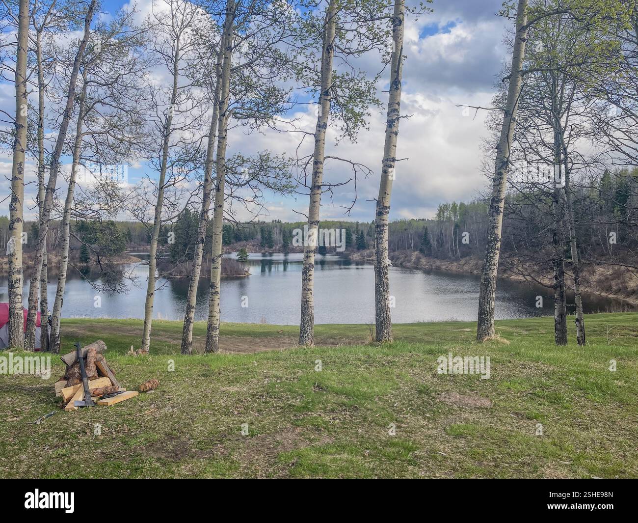 A peaceful lake framed by birch trees under a partly cloudy sky, featuring a small firewood pile. Ideal for nature, travel, and camping photography. - Smartphone Captured Stock Image