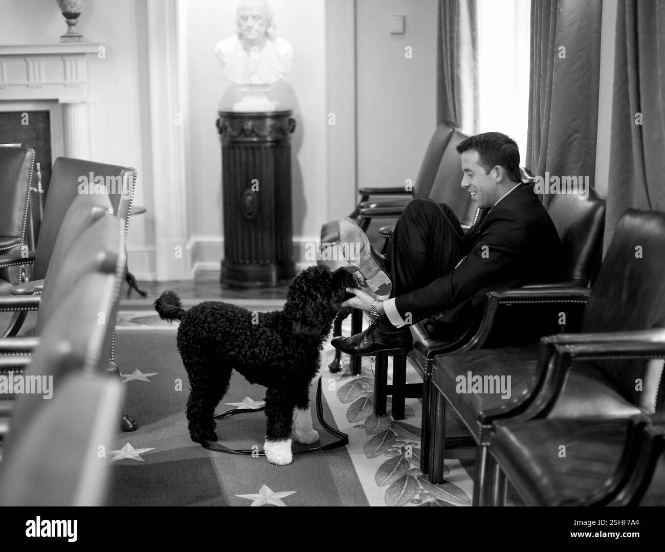 A White House  Deputy Director of Oval Office Operations Brian Mosteller attempts to protect his shoes as he plays with the Obama family dog 'Bo' in the Cabinet Room at the WHite House April 21, 2009. Official White House Photo by Pete Souza Stock Photo