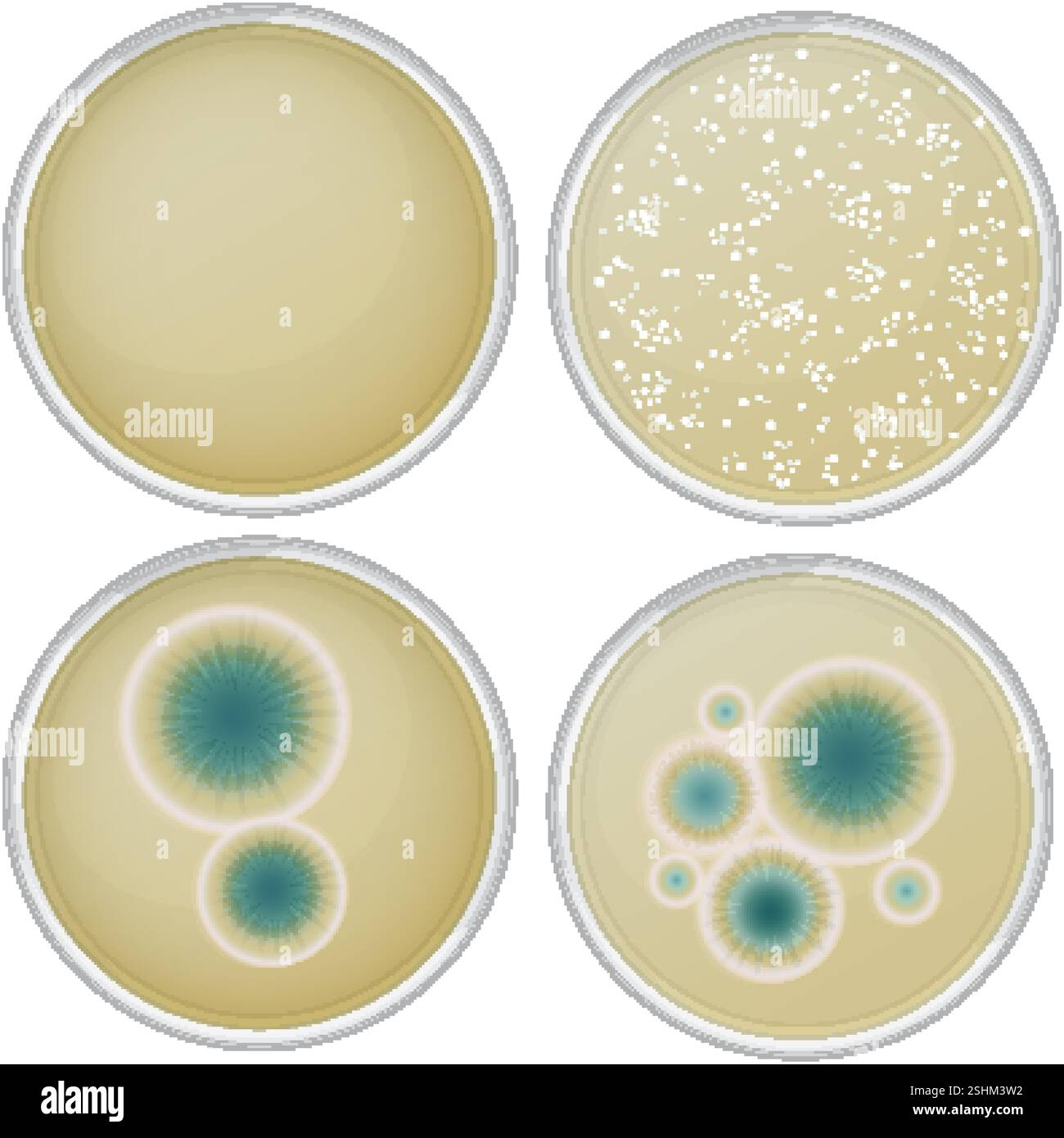 Research illustration plate Stock Vector Images - Alamy