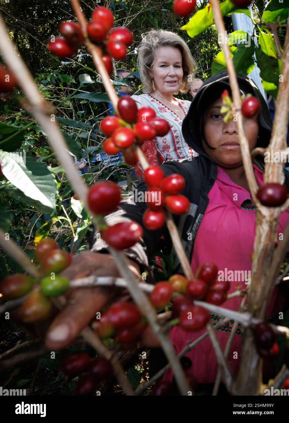 queen-mathilde-of-belgium-pictured-in-a-coffee-exploitation-during-a