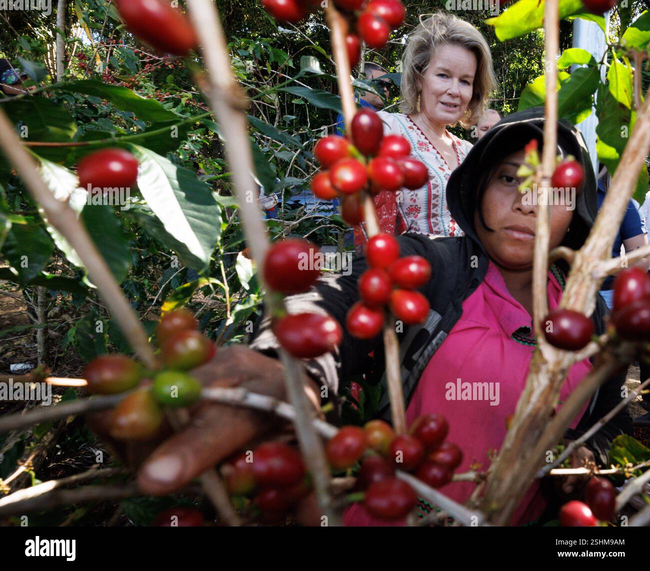 queen-mathilde-of-belgium-pictured-in-a-coffee-exploitation-during-a
