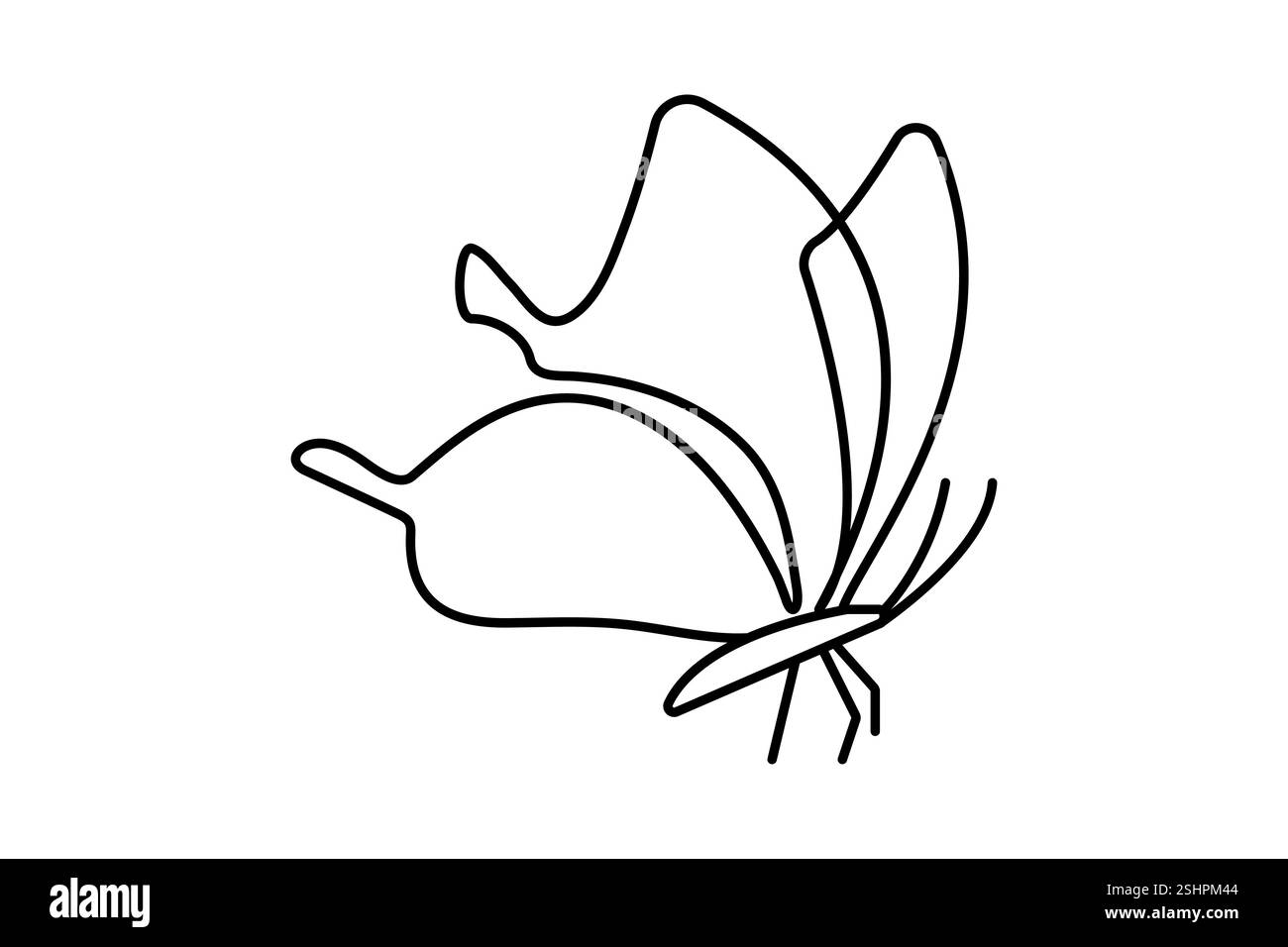 Butterfly illustration drawing Black and White Stock Photos & Images ...