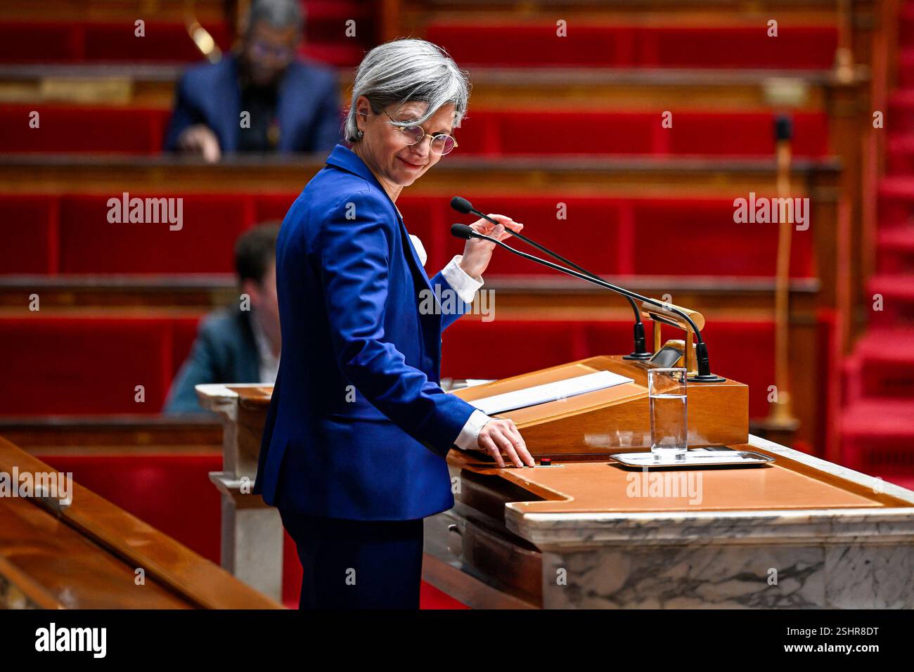 Paris, France. 10th Feb, 2025. Sandrine Rousseau Ecologist EELV deputy