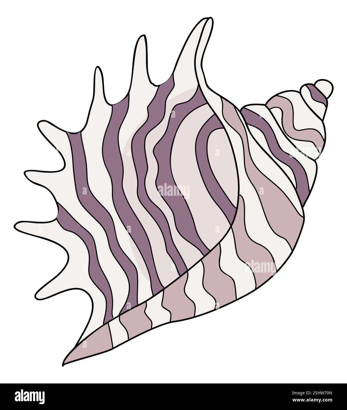 A purple and white shell with a zigzag pattern Stock Vector Image & Art ...