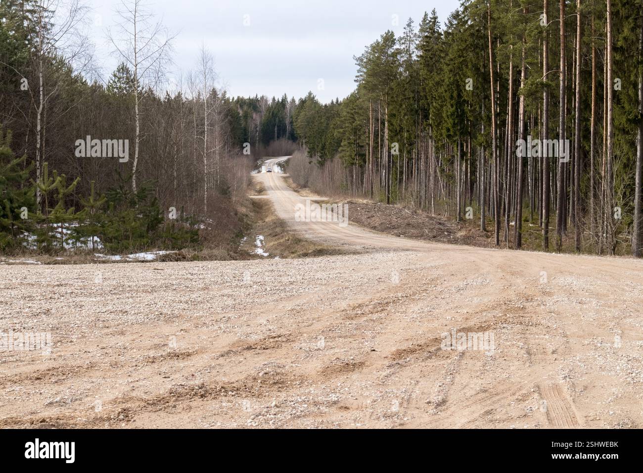 a long, straight road running through the forest, with trees on either side. Stock Photo