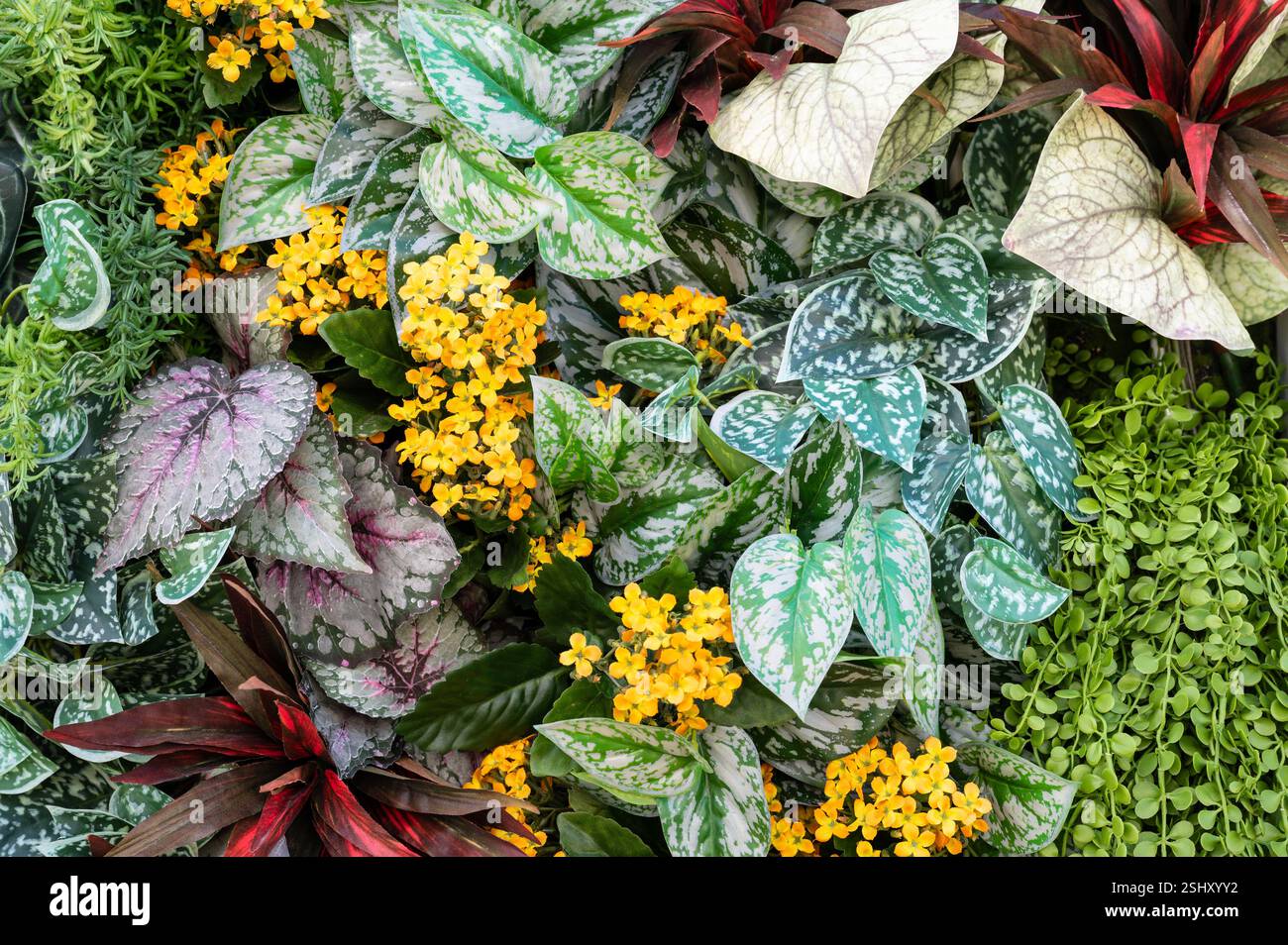 Artificial Flowers and Plants Background for Decoration. Stock Photo