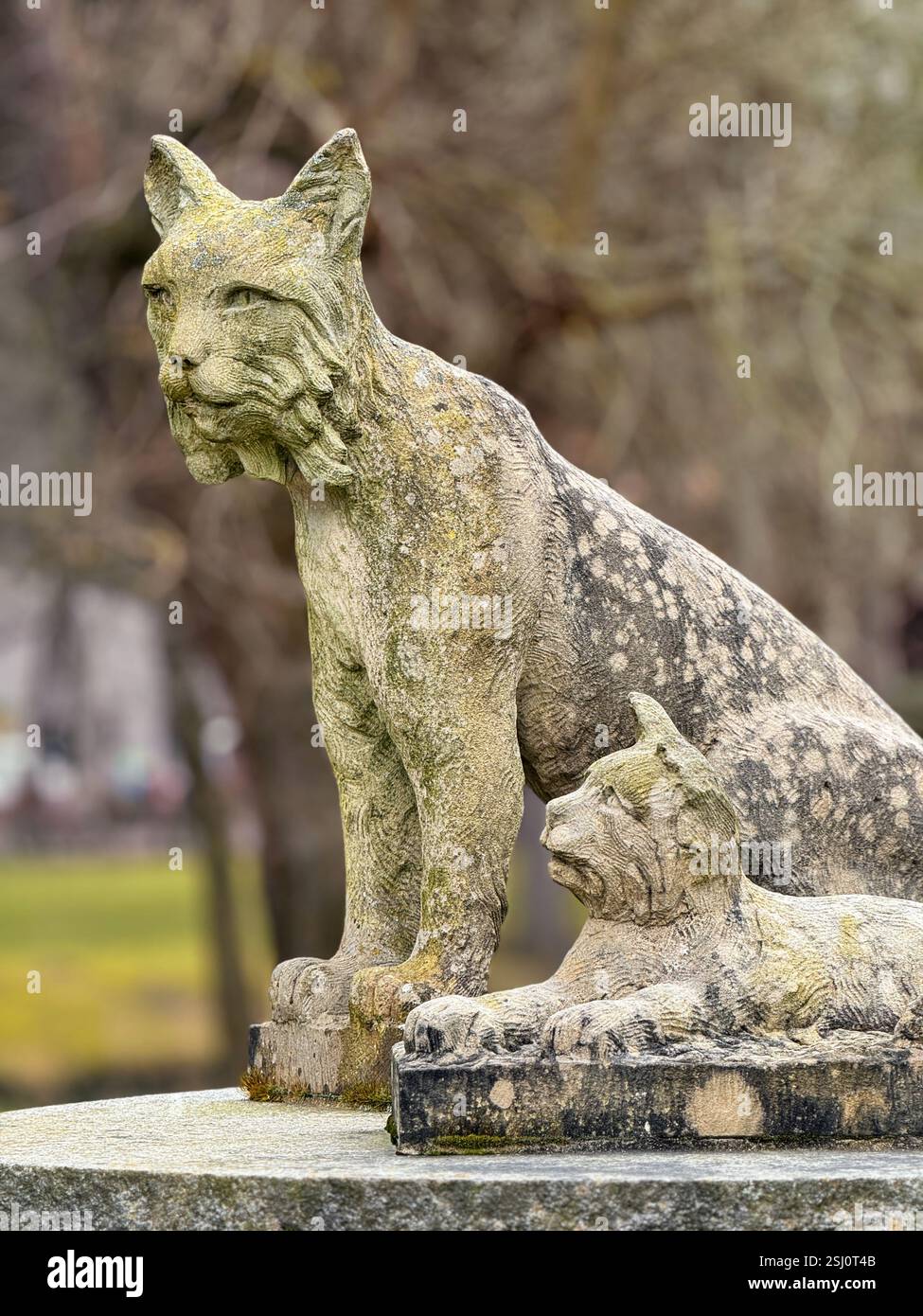 Lynx sculpture on Bad Harzburg lynx fountain in the spa park of the health resort, Lower Saxony, Germany. The lynx is native to the Harz mountains. - Smartphone Captured Stock Image