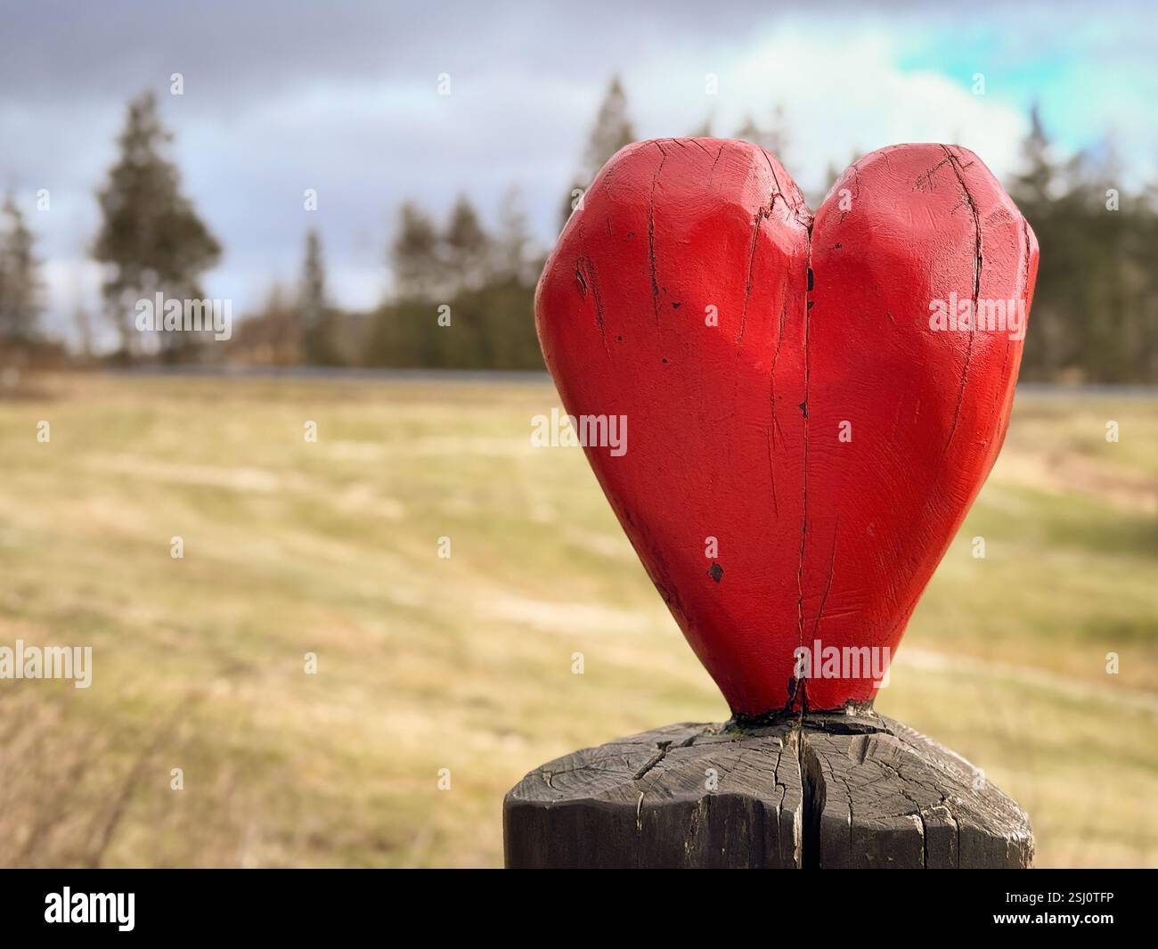 Red wooden heart on the Liebesbankweg, Liebesbank Trail in Hahnenklee, Harz mountains, Germany. Love bank hiking trail, copy space. - Smartphone Captured Stock Image