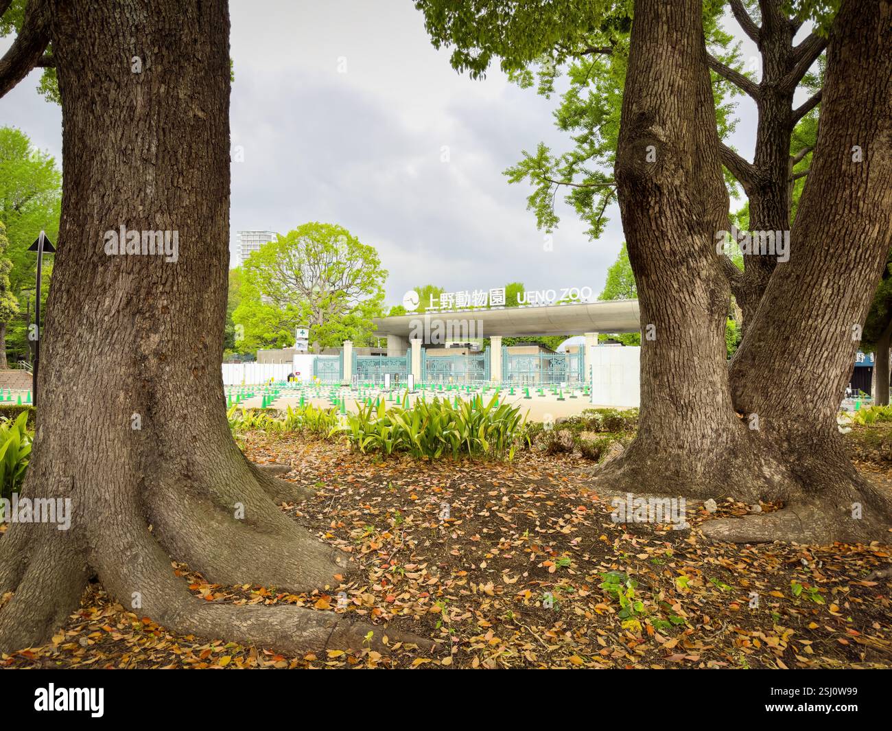 Ueno Zoo in Tokyo, Japan. Ueno Zoological Gardens is Japan's oldest zoo and home to the giant panda bear. - Smartphone Captured Stock Image