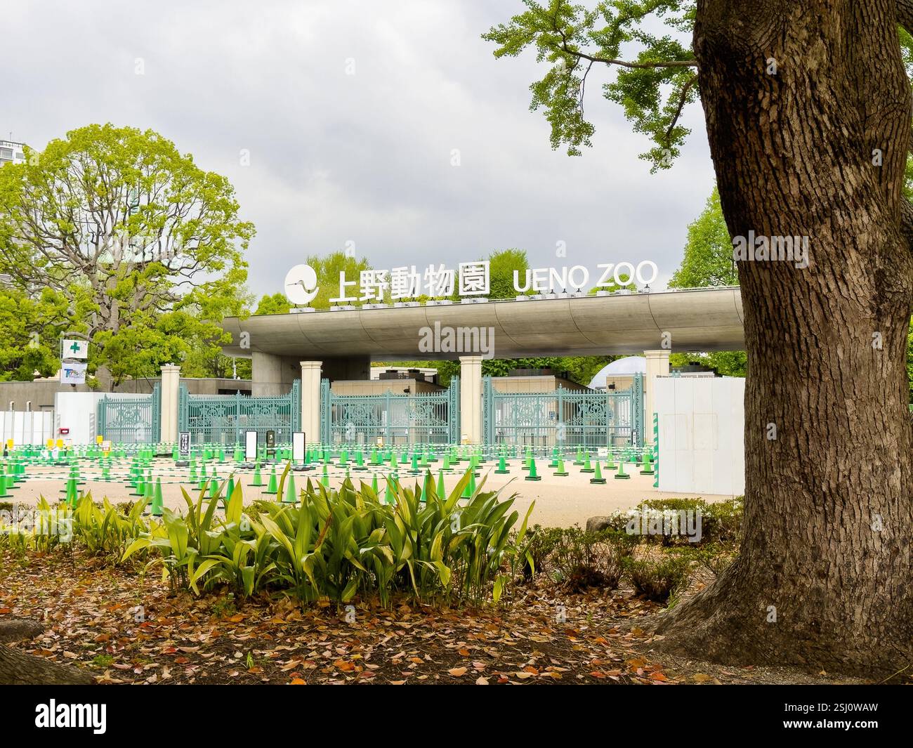 Ueno Zoo in Tokyo, Japan. Ueno Zoological Gardens is Japan's oldest zoo and home to the giant panda bear. - Smartphone Captured Stock Image