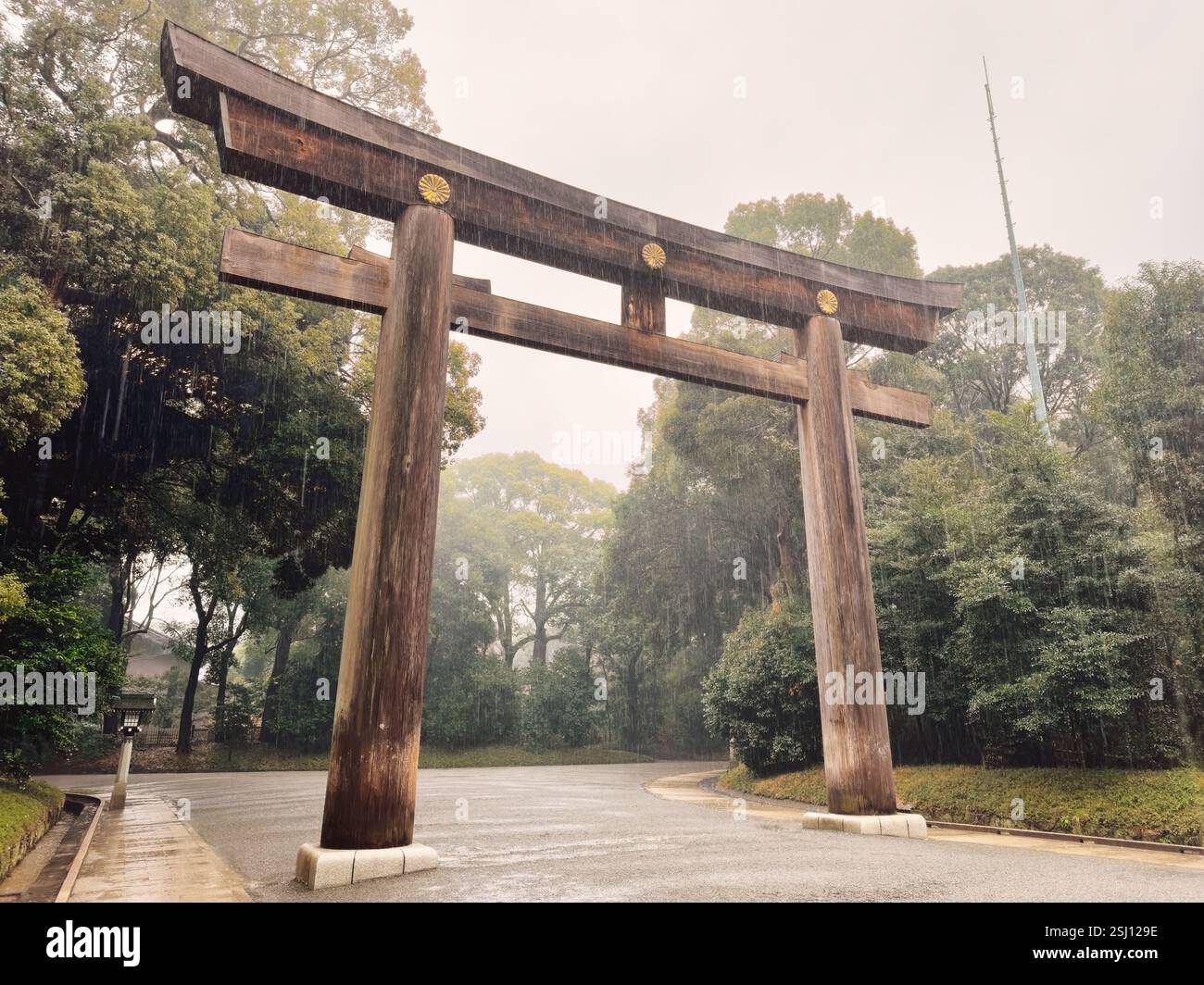 A rainy day in Tokyo Meiji Jingu Gyoen, Meiji Park, Japan. Traditional Japanese Torii gate in the park. - Smartphone Captured Stock Image