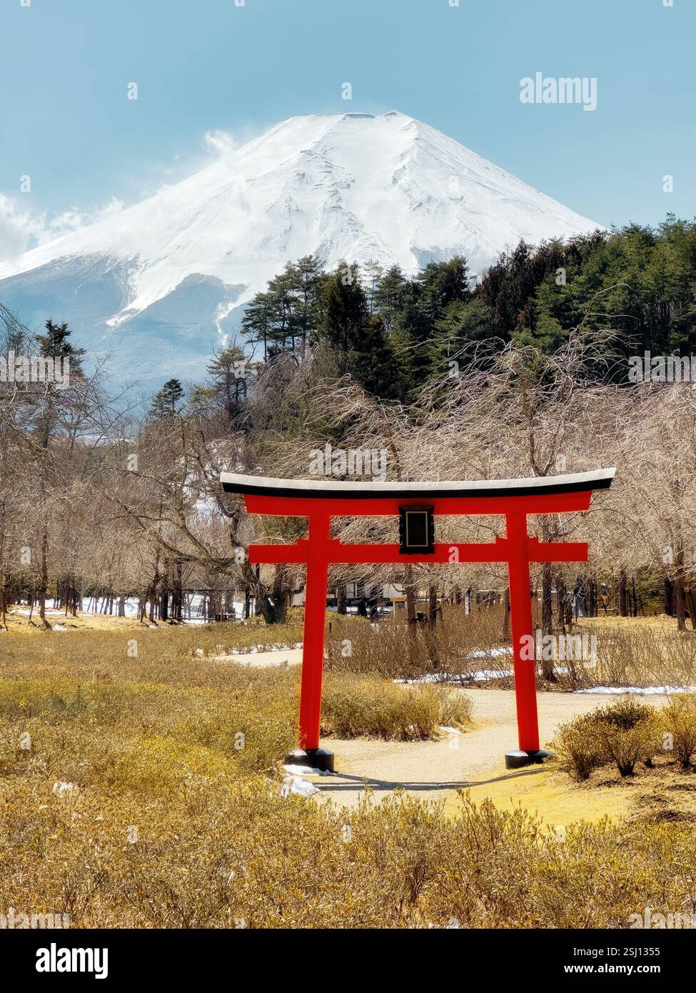 Snow-clad Mount Fuji in Japan in early spring. Typical Japanese landscape with iconic Fujisan and traditional red Torii gate in the foreground. - Smartphone Captured Stock Image
