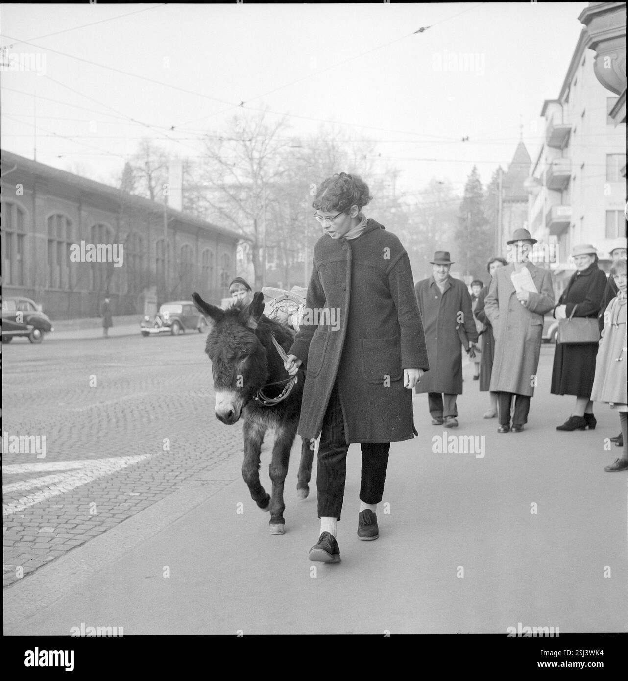 --- Helen Keiser mit ihrem Esel Napoleon, 1959#Helen Keiser with her donkey Napoleon, 1959 Stock Photo