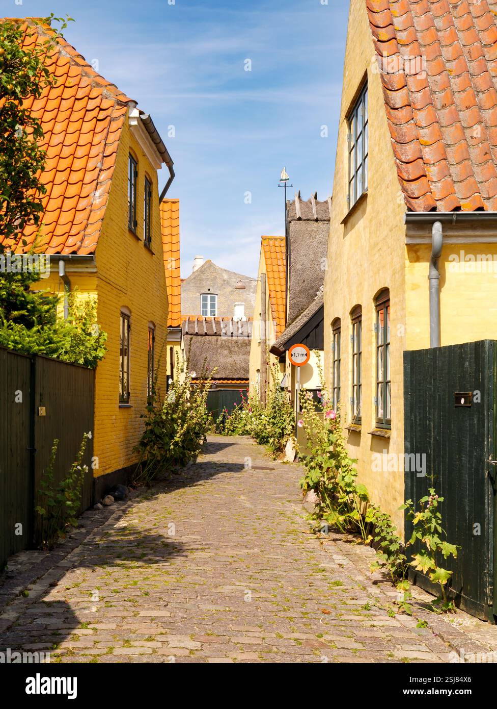 Narrow street Strandstraede with historic houses in Dragør Old Town ...