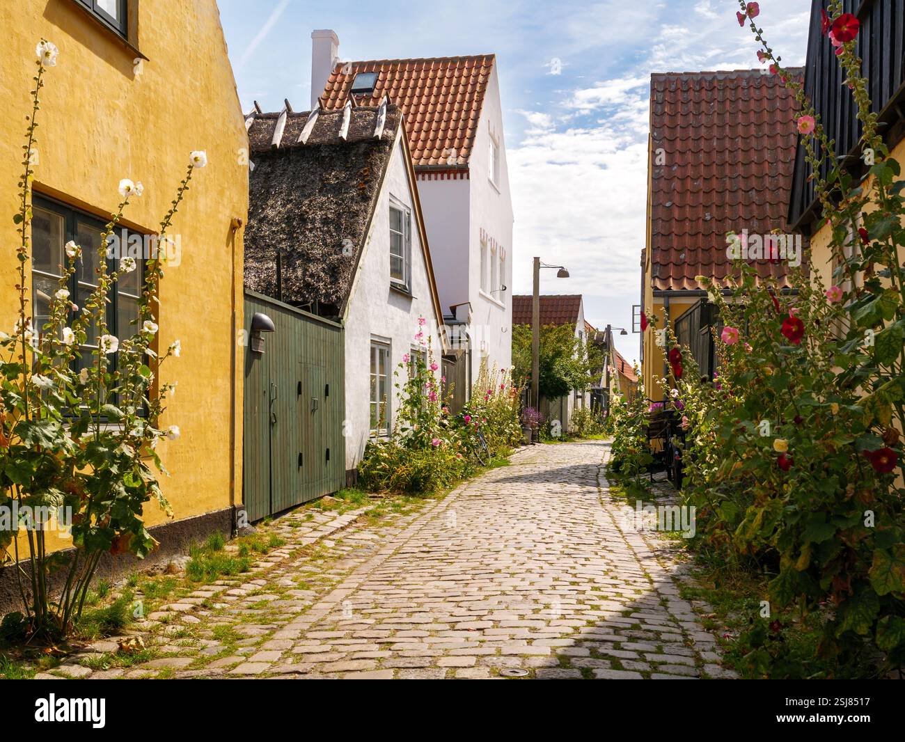 Dragør Old Town with historic houses in narrow street Strandstraede ...