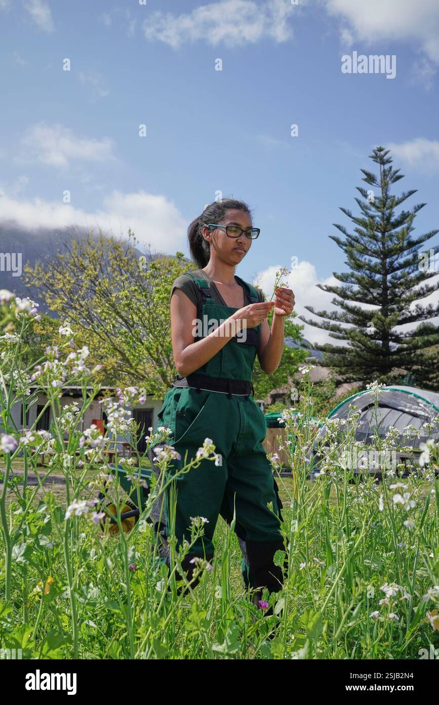 Woman looking at flowers in garden Stock Photo