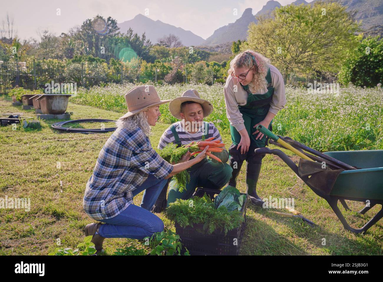 Group farmers picking vegetables hi res stock photography and images Group farmers picking vegetables hi res stock photography and images