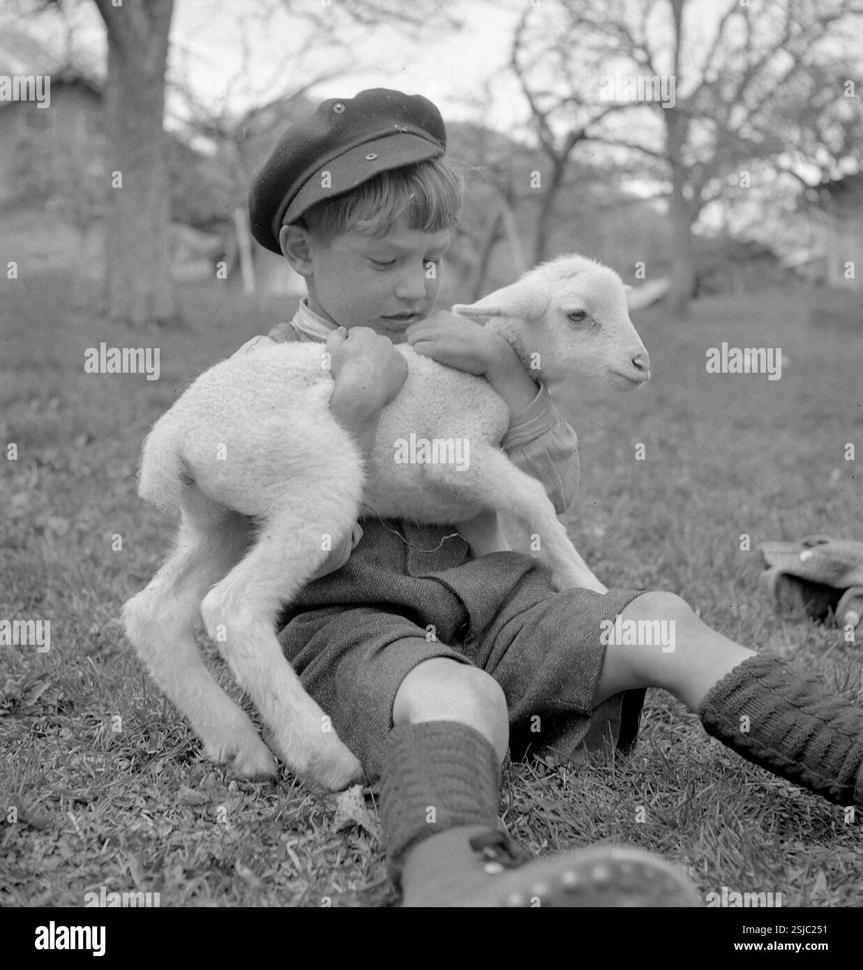 Kleiner Junge mit Lamm, 1944#Small boy with lamb, 1944- RDB BY DUKAS ...
