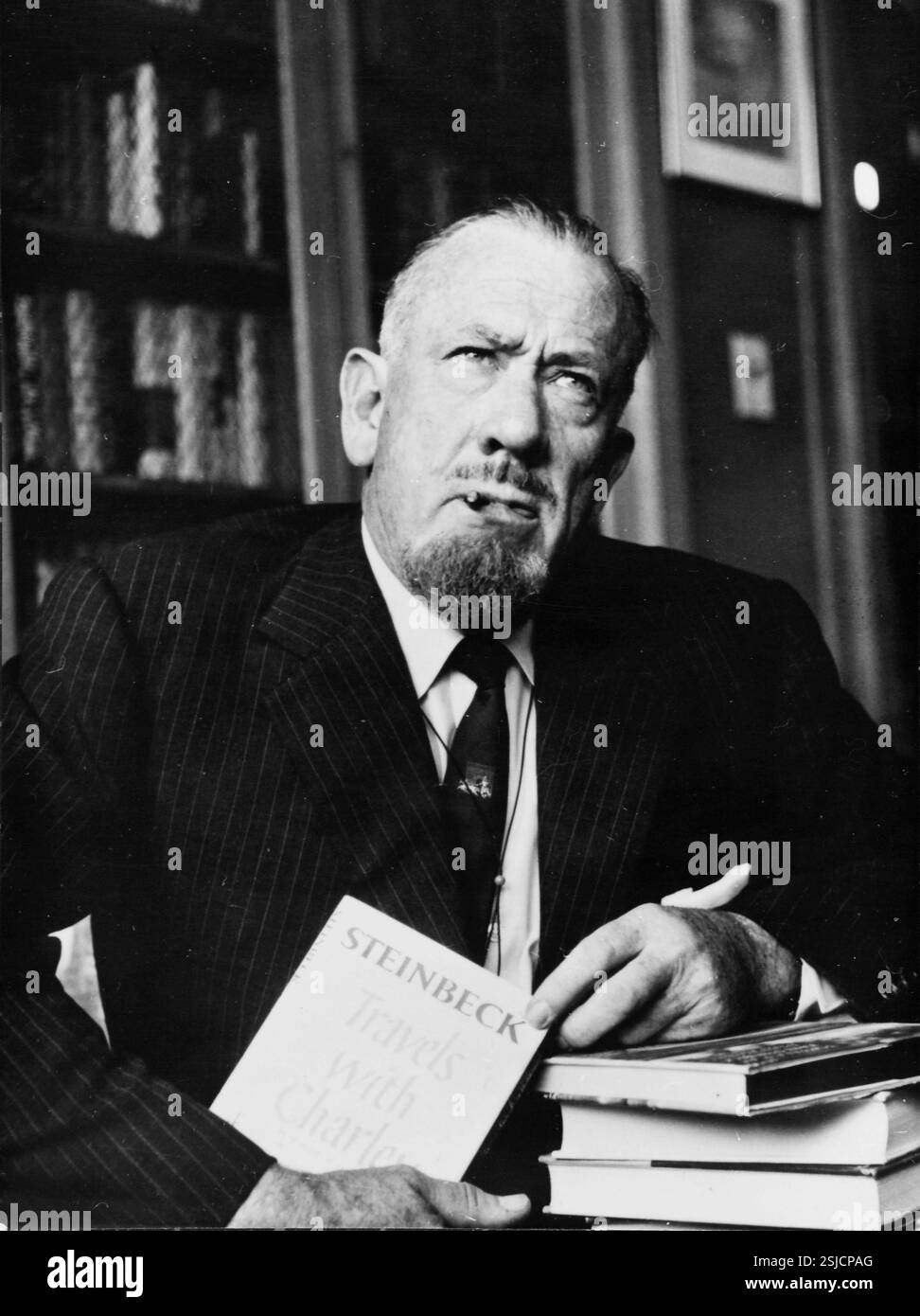 --- John Steinbeck, Schriftsteller 1962#John Steinbeck, writer 1962- RDB BY DUKAS Stock Photo