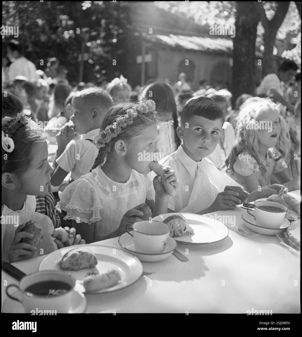 Aarauer Maienzug ca. 1950; Kinder am Esstisch#