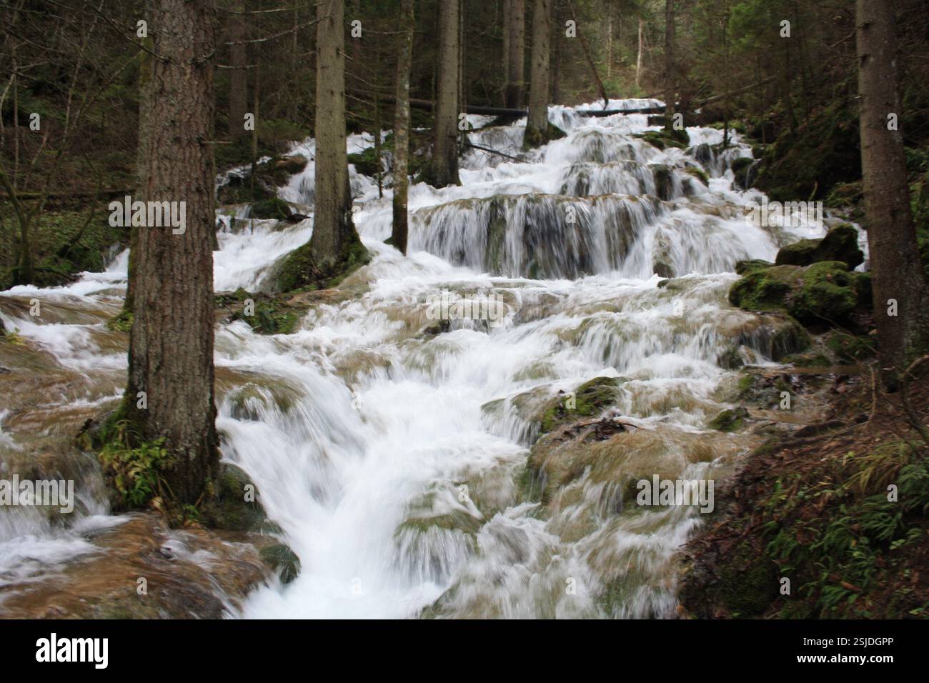 Miljacka spring and waterfall, Sarajevo, Bosnia Stock Photo - Alamy