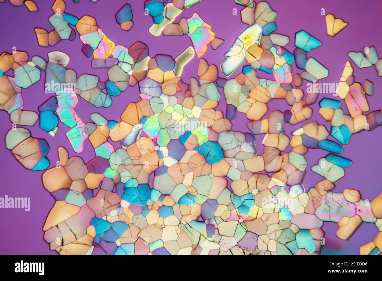 Caffeine crystals in polarized light Stock Photo