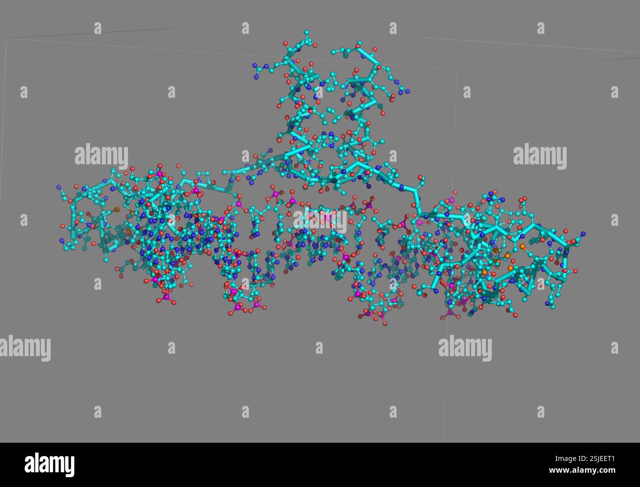 DNA molecule model Stock Photo - Alamy