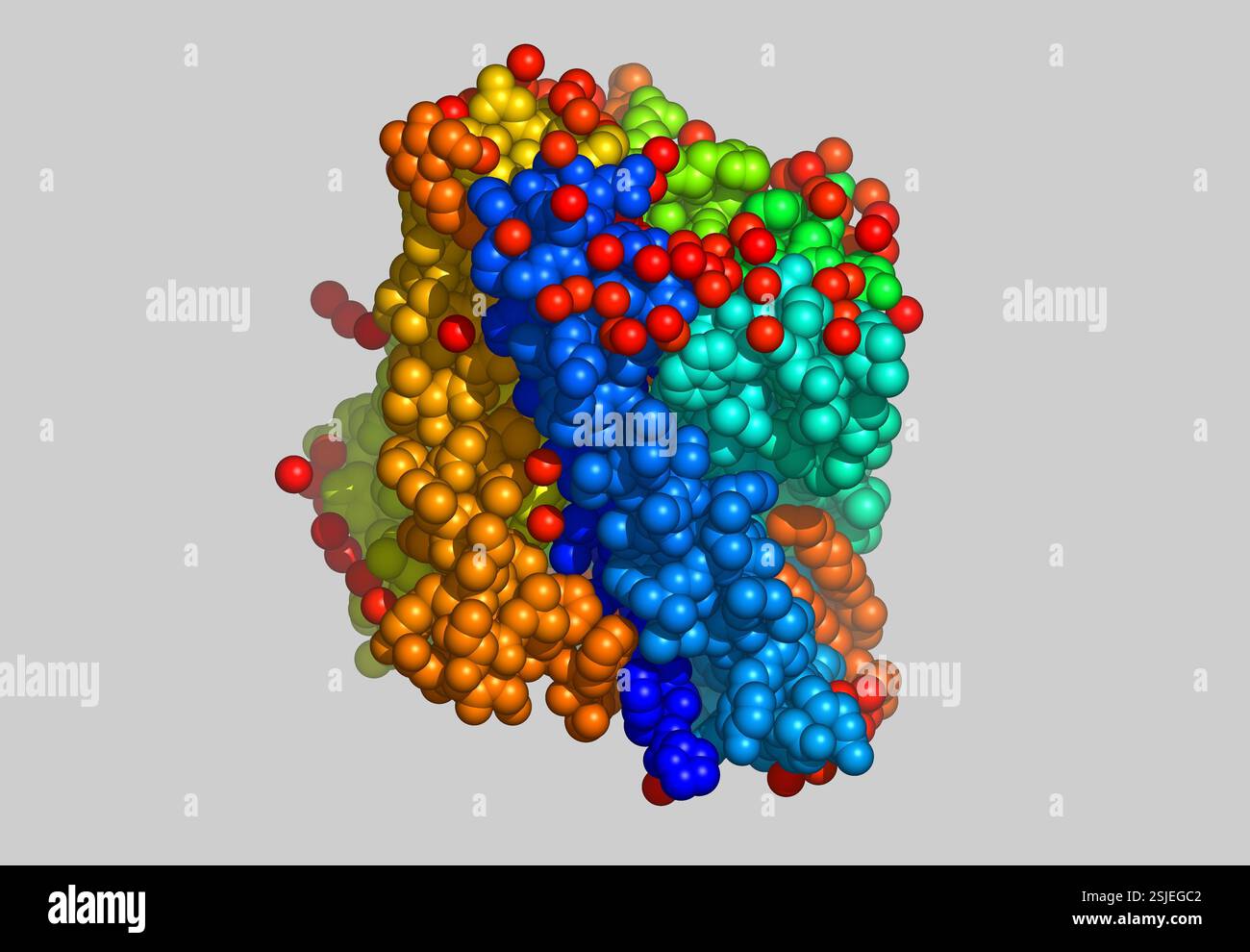 Protein, protein as a molecular model Stock Photo - Alamy