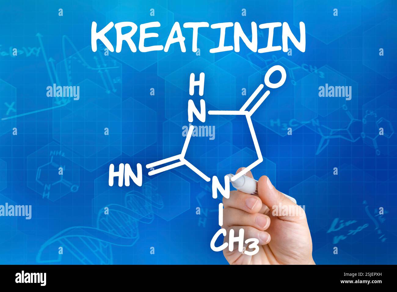 Hand with pencil draws chemical structural formula of creatinine Stock ...