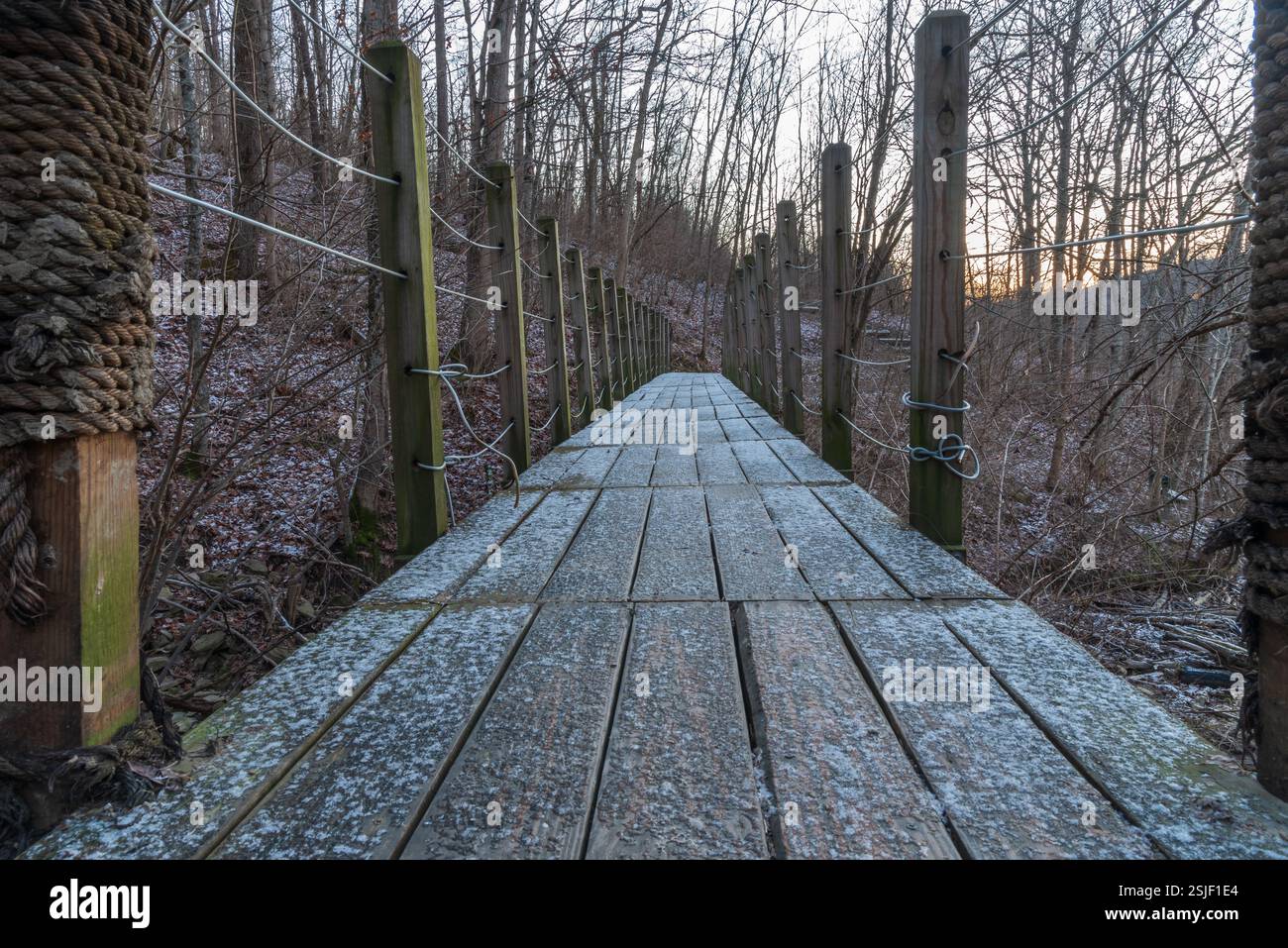 snow covered path through the woods Stock Photo - Alamy