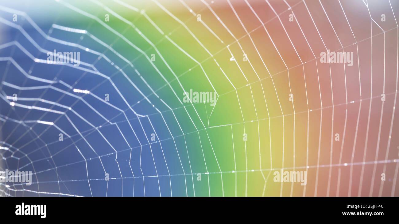 Rainbow colors in spider hi-res stock photography and images - Alamy