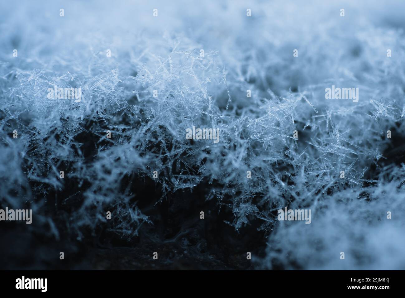 sparkling frozen snow crystals on wet asphalt macro photography Stock Photo