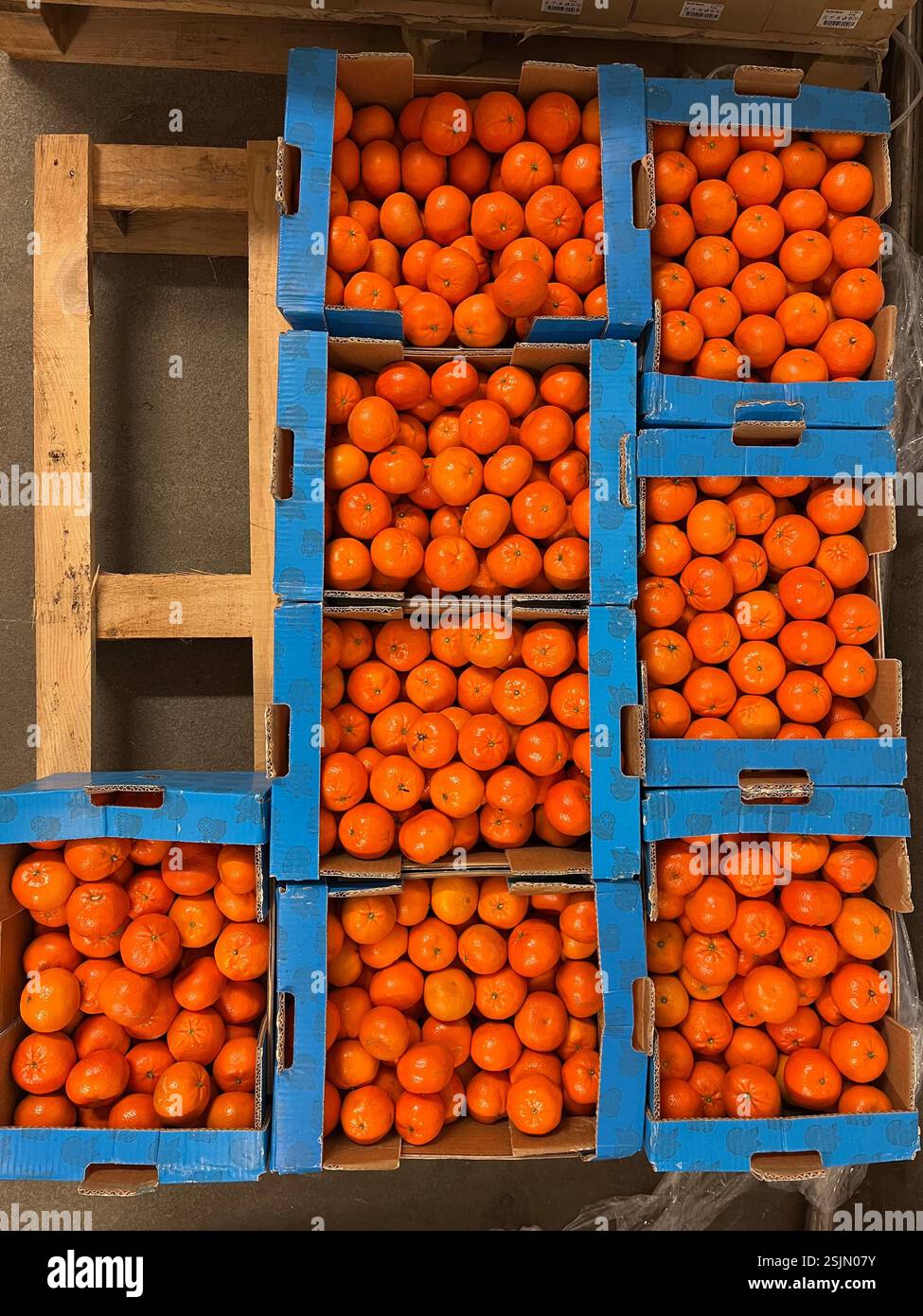 tangerines, boxes, crates, top view, fruits, warehouse, produce, agriculture, food supply, logistics, fruits storage, distribution, supply chain - Smartphone Captured Stock Image
