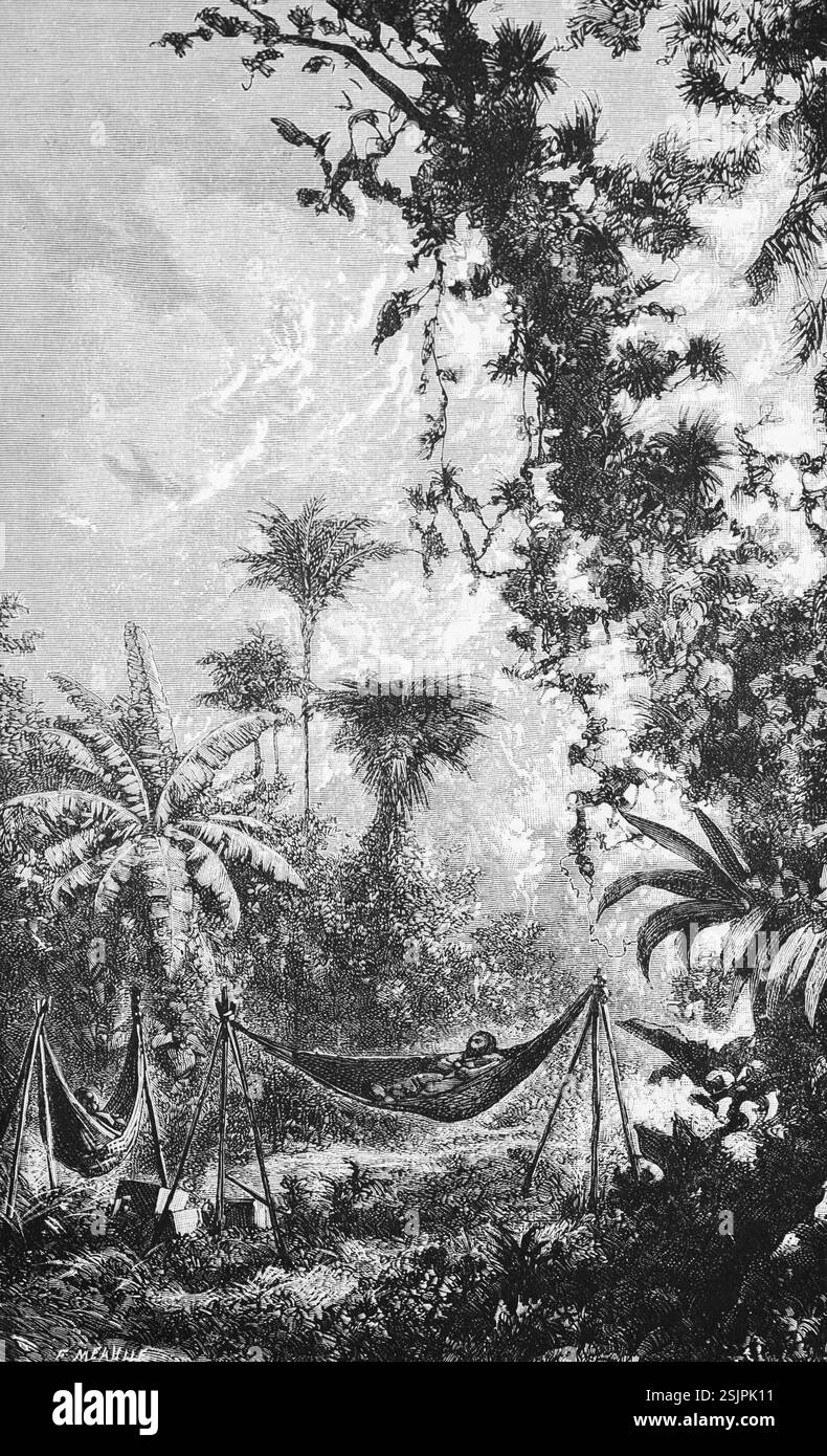 Rest in the hammock of European travellers in the tropical rainforest, Inner Tropics, Rainforest, Travel, Brazil, historical illustration 18888, South Stock Photo