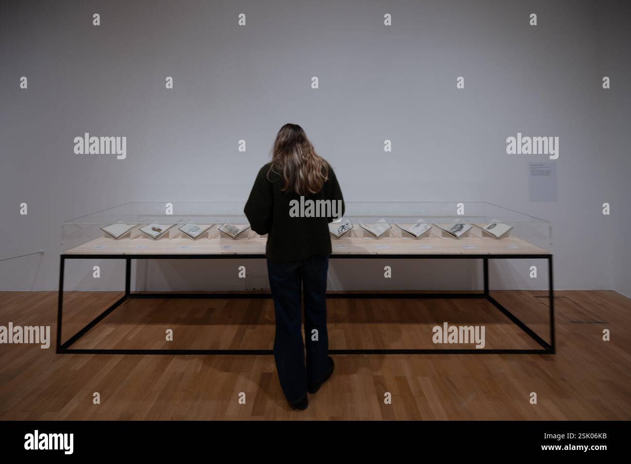 London, UK, 11th February 2025, Donald Rodney: Visceral Canker Exhibition opens on the 12th February until 4th May 2025 at Whitechapel Gallery. His multimedia works which include drawings, paintings, photography, animatronics and digital media are on display from late British artist Donald Rodney (1961-1998)., Andrew Lalchan Photography/Alamy Live News Stock Photo