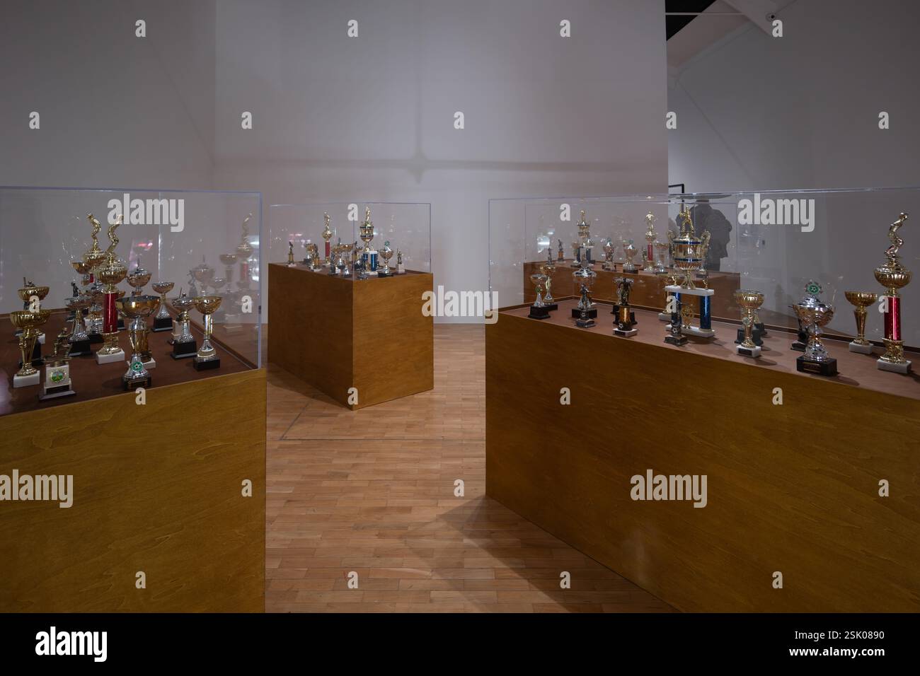 London, UK, 11th February 2025, Donald Rodney: Visceral Canker Exhibition opens on the 12th February until 4th May 2025 at Whitechapel Gallery. His multimedia works which include drawings, paintings, photography, animatronics and digital media are on display from late British artist Donald Rodney (1961-1998)., Andrew Lalchan Photography/Alamy Live News Stock Photo