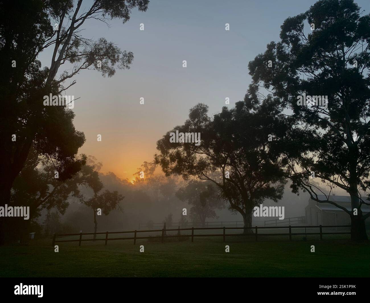 Life on a Hobby Farm - Smartphone Captured Stock Image