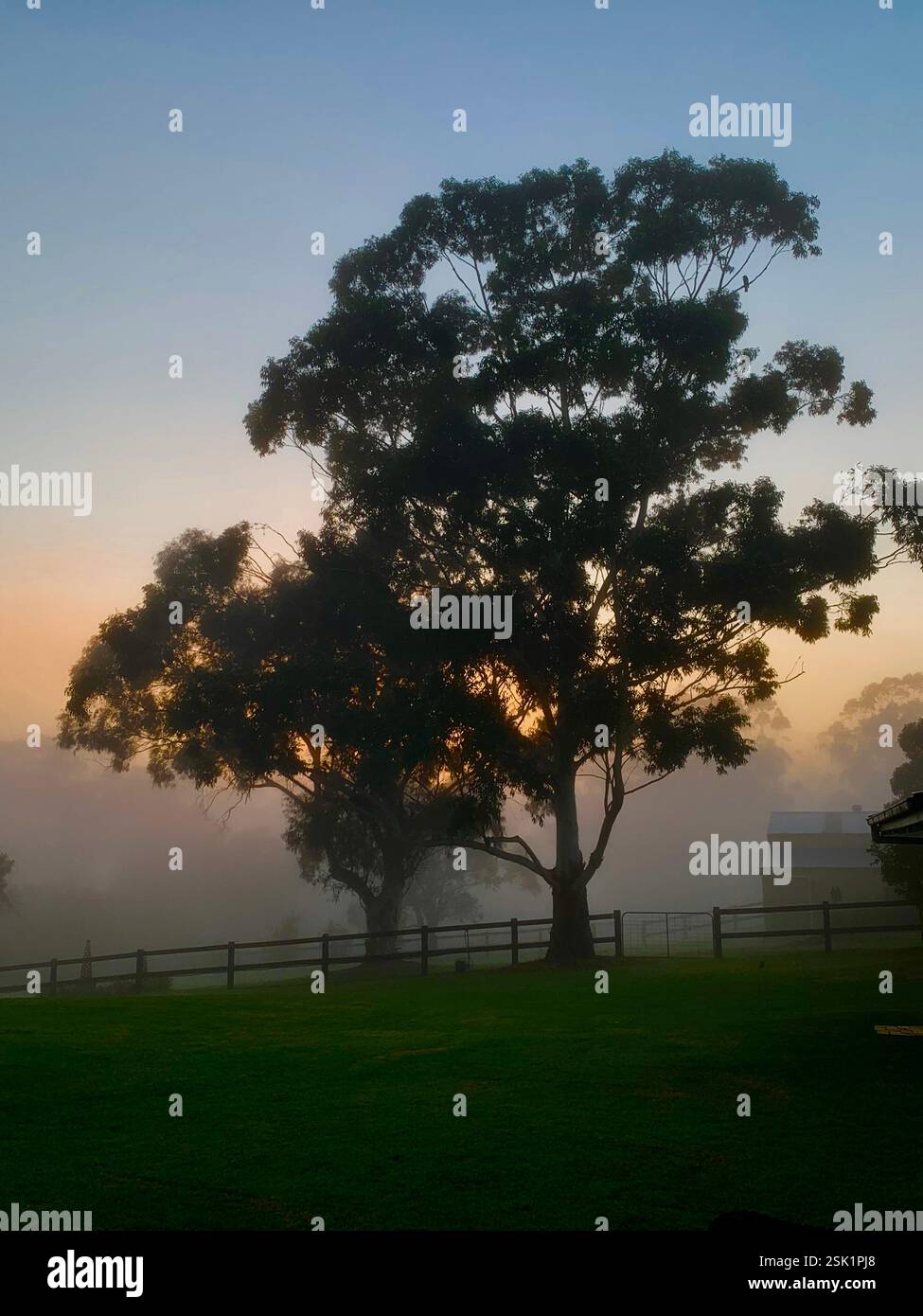 Life on a Hobby Farm - Smartphone Captured Stock Image