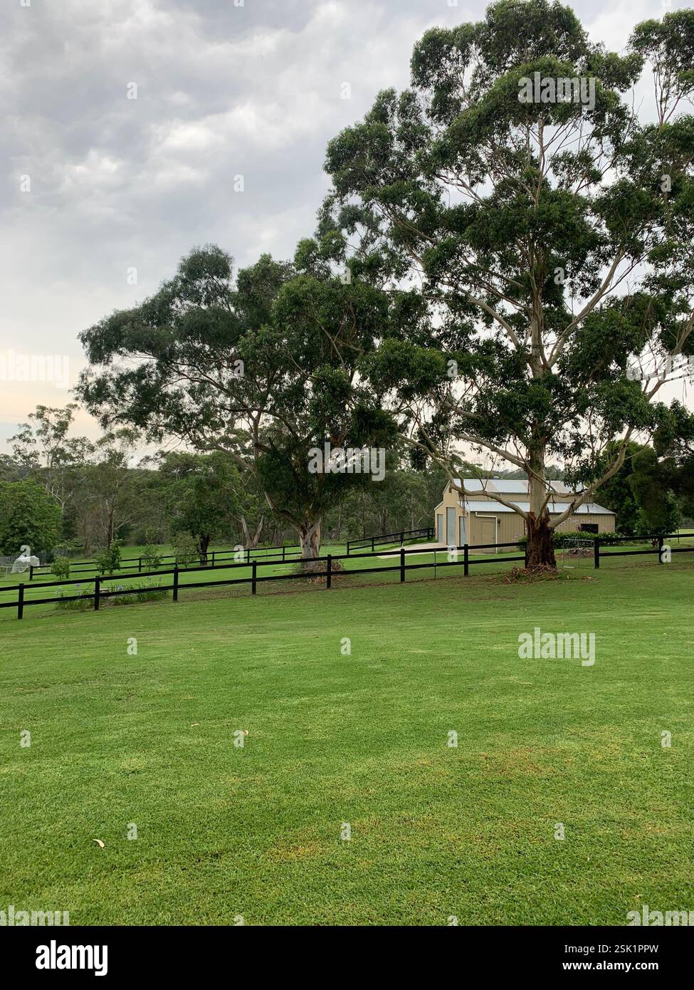 Life on a Hobby Farm - Smartphone Captured Stock Image