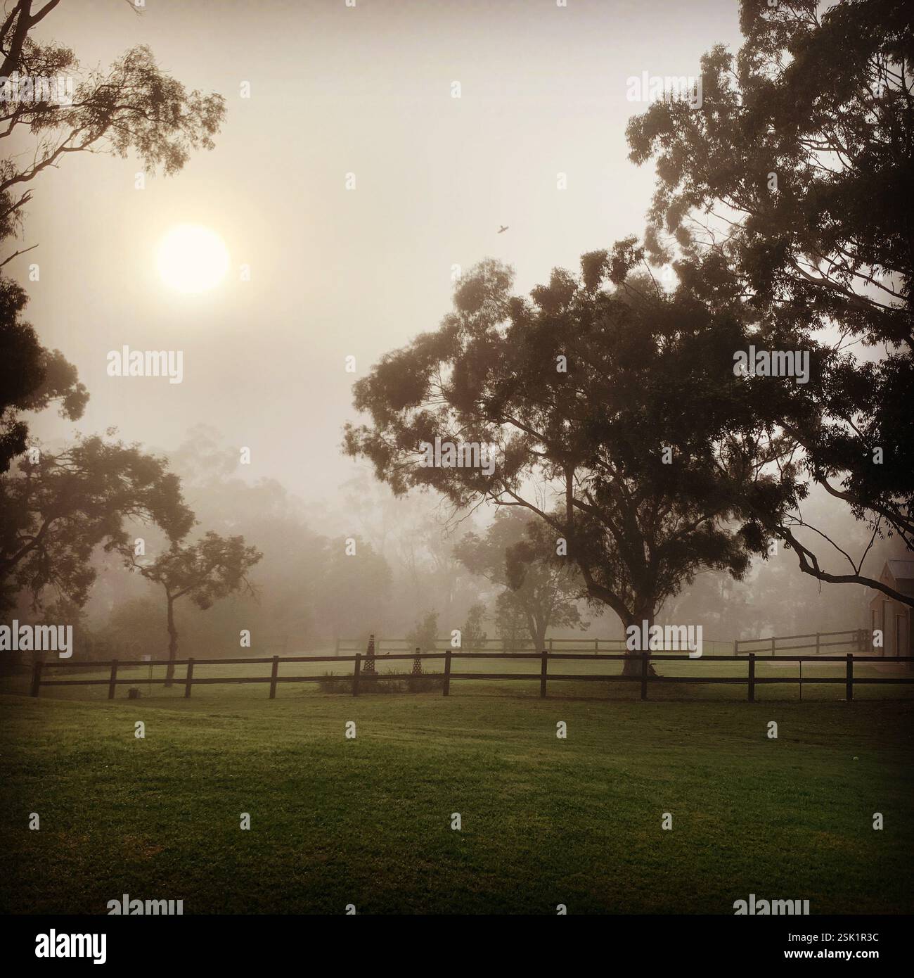 Life on a Hobby Farm - Smartphone Captured Stock Image