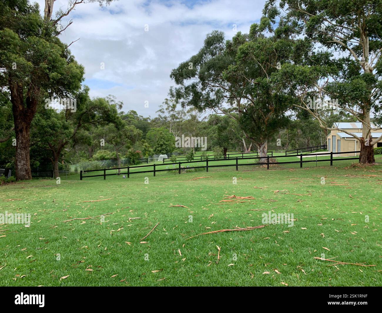 Life on a Hobby Farm - Smartphone Captured Stock Image