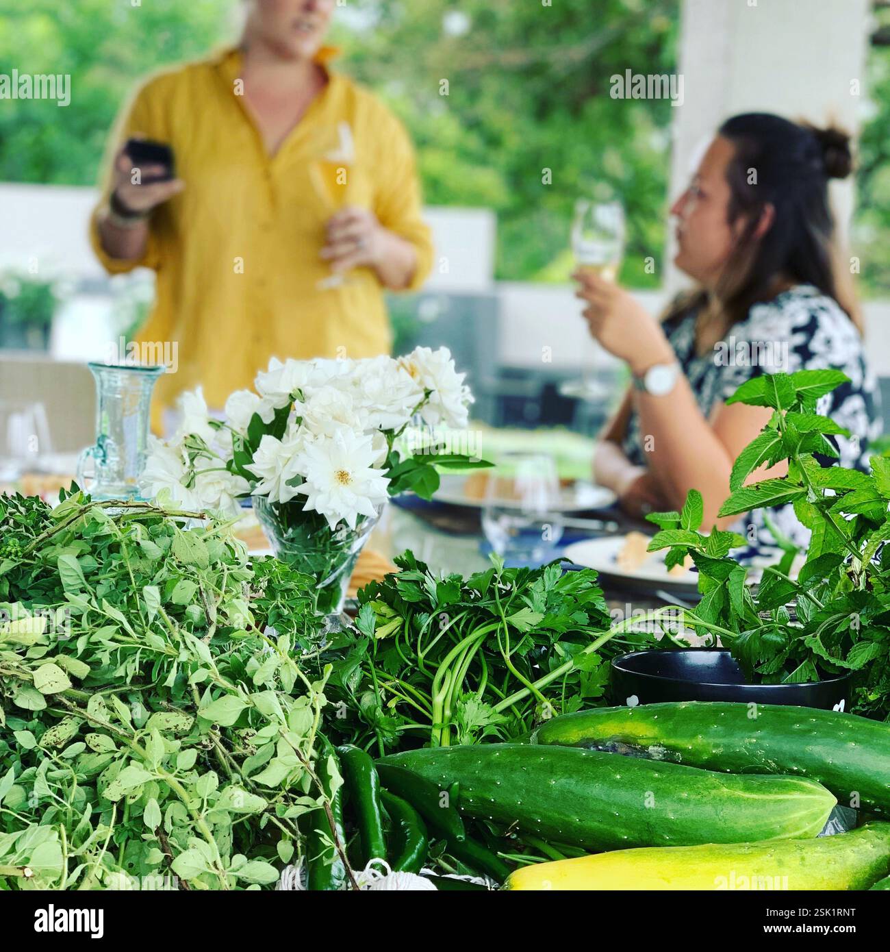 Life on a Hobby Farm - Smartphone Captured Stock Image