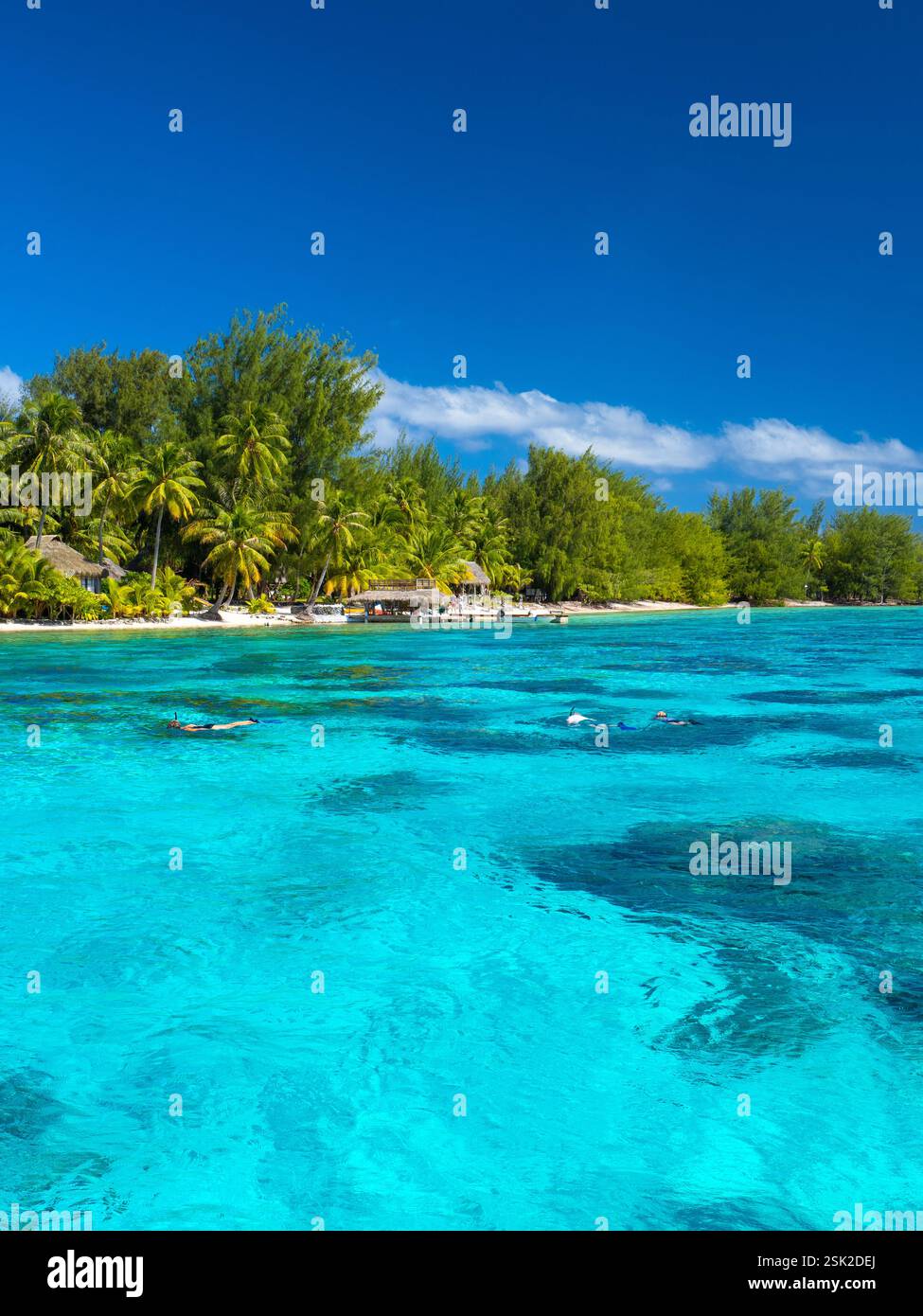 Bora Bora beach Stock Photo - Alamy